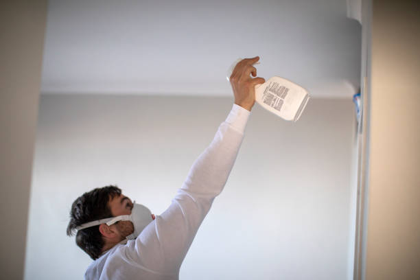 Best Post-Flood Mold Remediation in Fayetteville, NY